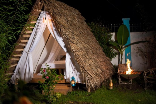 Mambo Arusha Hostel image 26